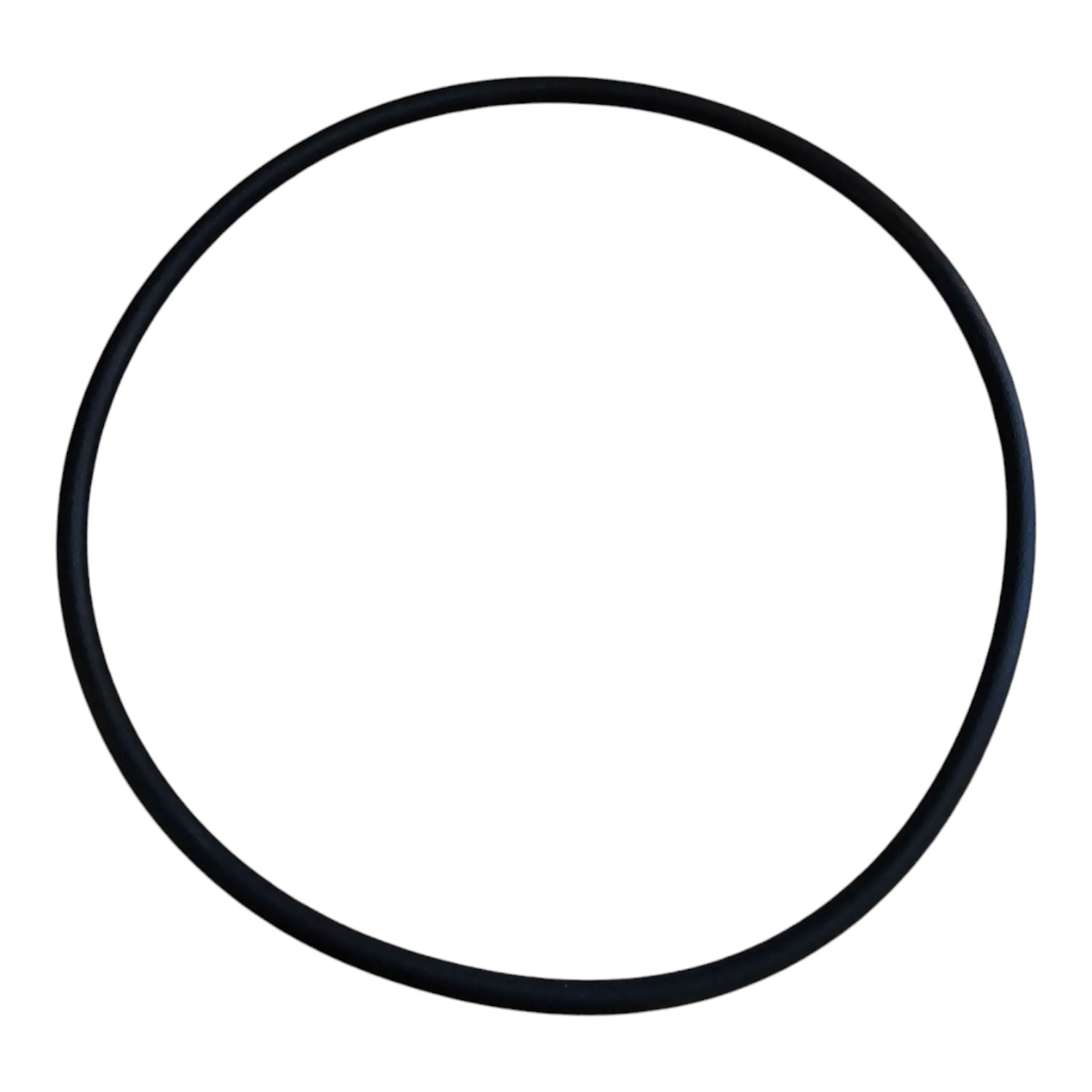 O Ring Filteranlage Intex 1