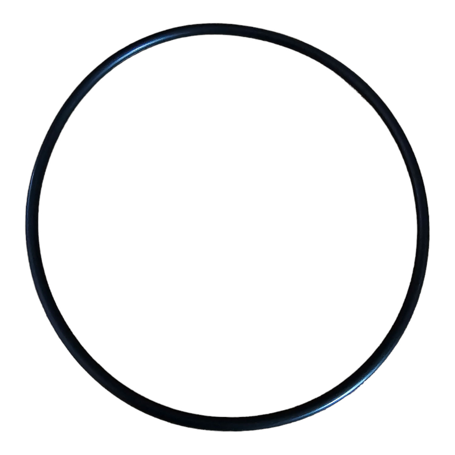 O Ring für Deckel Mega Pool Filterkessel  MFS