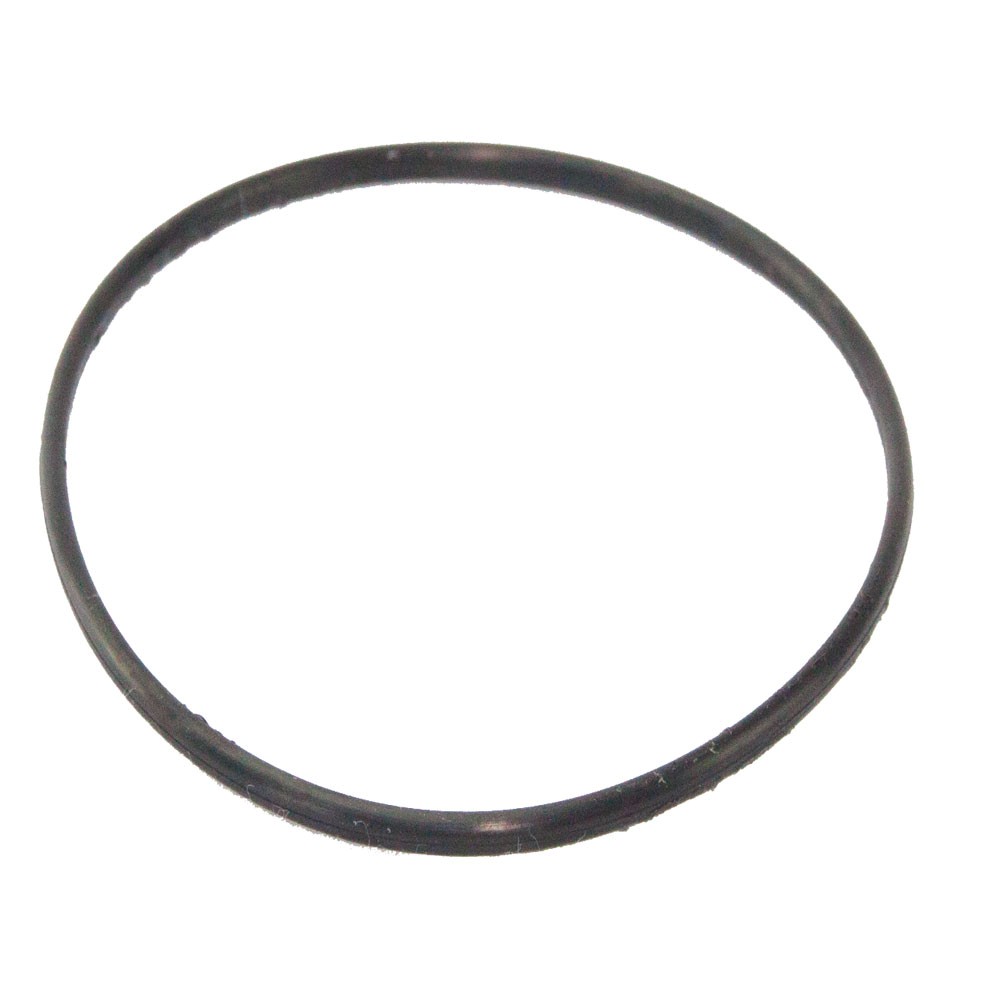 O Ring  145 x 6 mm für Sandfilterkessel