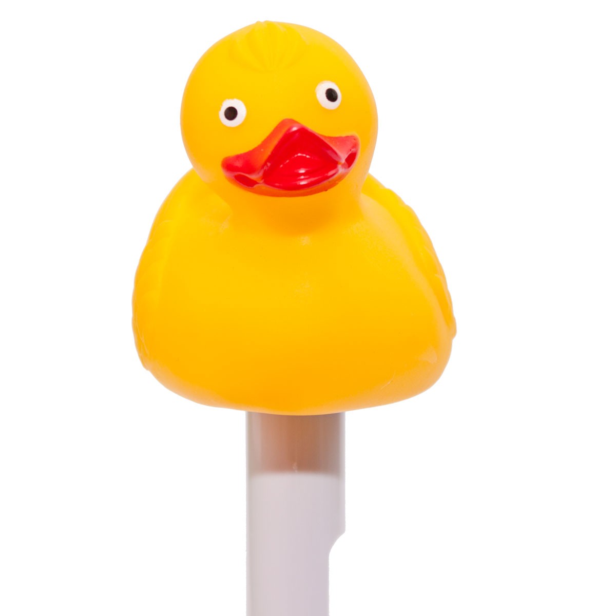 pool-fun-thermometer-duck-1